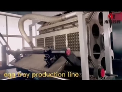 Macchina ricambiante automatica di Tray Machine Fruit Tray Making dell'uovo